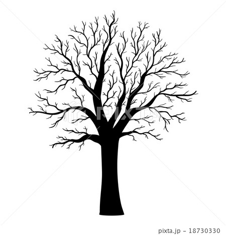 Tree silhouette 18730330