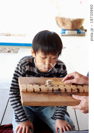 火起こし 火起こし 18730660