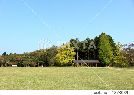 秋の三神峯公園 18730899