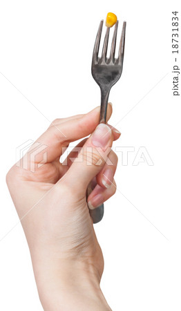 yellow maize seed impaled on fork in female hand 18731834