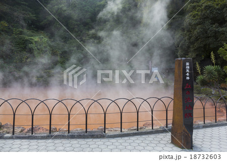 【大分県】別府地獄めぐり 血の池地獄 18732603