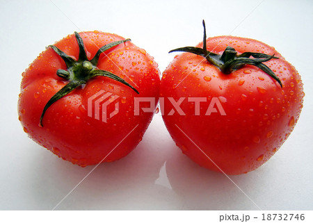 Tomatoes 18732746