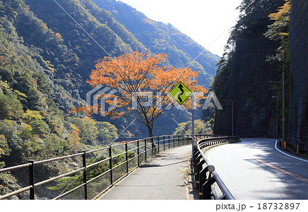 秋の四国路、国道32号線大歩危付近の交通標識（警戒標識：つづら折りあり） 18732897