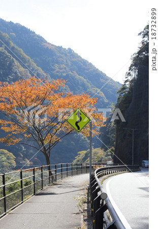 秋の四国路、国道32号線大歩危付近の交通標識（警戒標識：つづら折りあり） 18732899