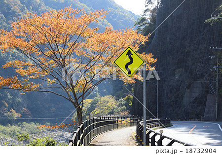 秋の四国路、国道32号線大歩危付近の交通標識(警戒標識:つづら折りあり) 秋の四国路、国道32号線大歩危付近の交通標識(警戒標識:つづら折りあり) 18732904