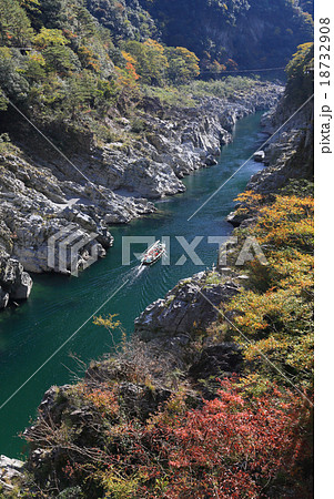 徳島県三好市 吉野川 紅葉の 大歩危峡 を行く観光遊覧船の写真素材