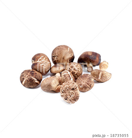 chinese mushroom 18735055