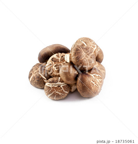 chinese mushroom 18735061