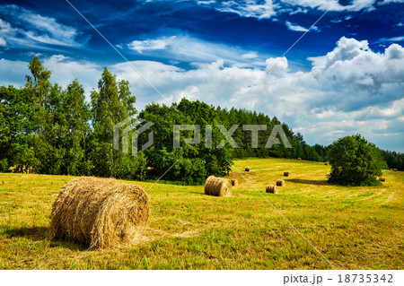 Hay bales on field 18735342