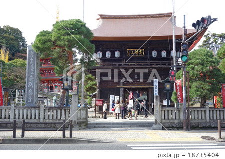 高幡不動尊（仁王門） 18735404