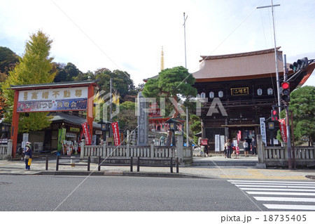 高幡不動尊(仁王門と総門) 高幡不動尊(仁王門と総門) 18735405