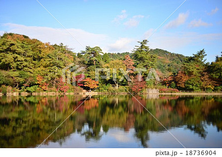 神戸の紅葉(もみじ)再度山は大龍寺、再度山公園、猩々池(しょうじょういけ) 神戸の紅葉(もみじ)再度山は大龍寺、再度山公園、猩々池(しょうじょういけ) 18736904