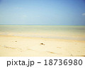 浜辺 18736980