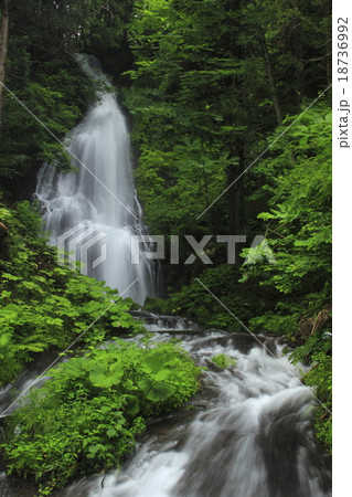 夏の奥久名滝 18736992