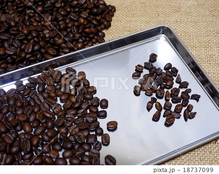 コーヒー豆の選別 18737099