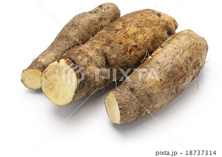 ヤムイモ 18737314