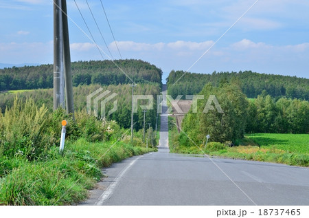 新ジェットコースターの道　就実の丘 18737465