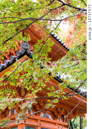 大威徳寺多宝塔 大威徳寺多宝塔 18737472