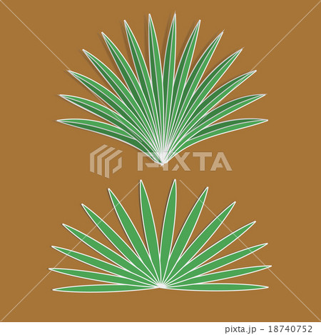 Vector aloe Vector aloe 18740752