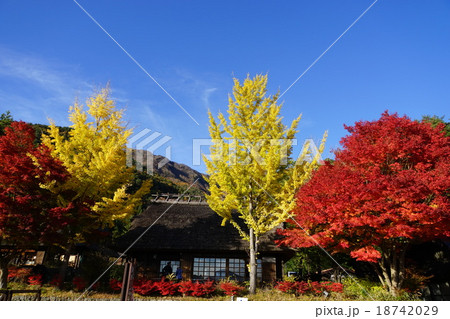 11月西湖・根場01里の紅葉 11月西湖・根場01里の紅葉 18742029