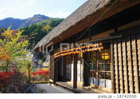 11月西湖･根場02茅葺き屋根と干柿 18742030