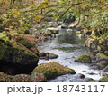 秋の流れ 18743117