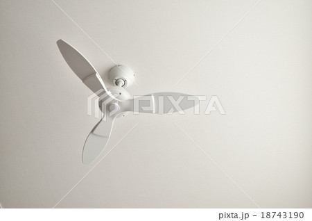 シーリングファン 18743190