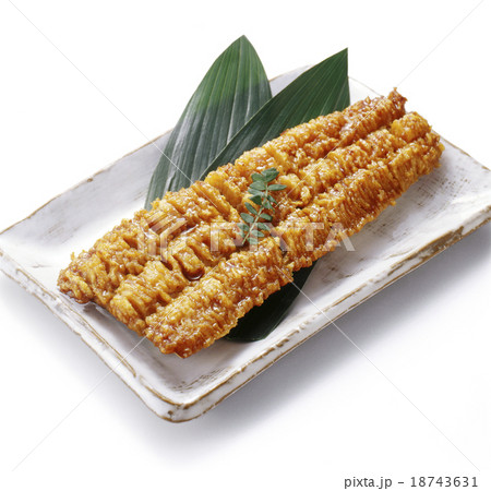 ハモの照焼き 18743631