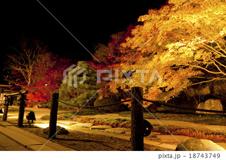 紅葉 18743749