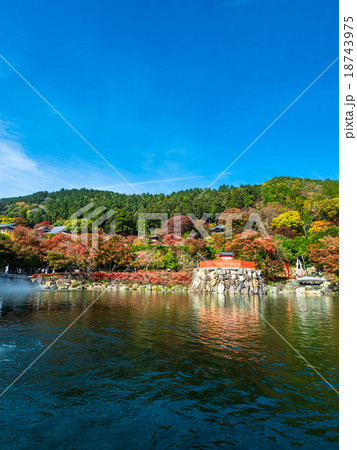 勝尾寺の弁天池と紅葉 18743975