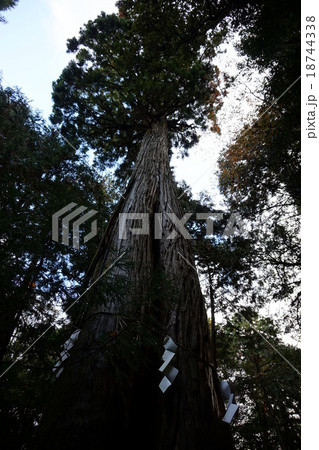 元伊勢神社 18744338