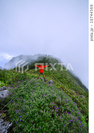 Morning Mist at Tropical Mountain Range 18744569
