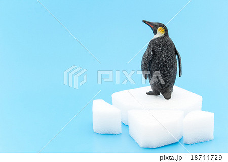 エンペラーペンギンのおもちゃの写真素材 エンペラーペンギンのおもちゃの写真素材
