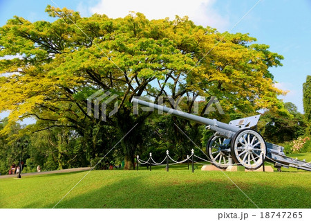 シンガポールのイスタナ　イエローフレームとカノン砲 18747265