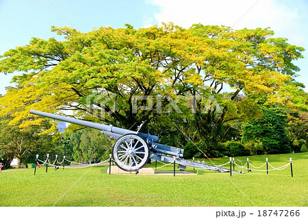 シンガポールのイスタナ　イエローフレームとカノン砲 18747266