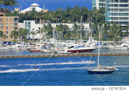 miami miami 18747824