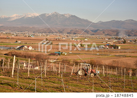 ぶどうヶ丘公園 18748845