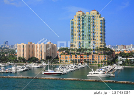 miami miami 18748884