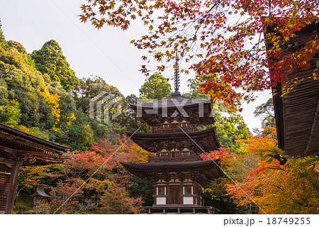 湖東三山　紅葉の西明寺 18749255