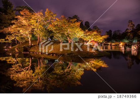 夕景の彦根城　紅葉の玄宮園 18749366