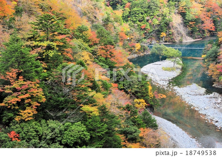 寸又峡の紅葉 18749538