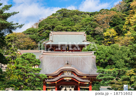 鎌倉 鶴岡八幡宮 鎌倉 鶴岡八幡宮 18751602