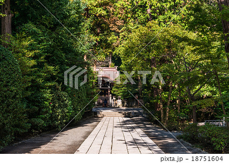 鎌倉　鶴岡八幡宮　白旗神社 18751604