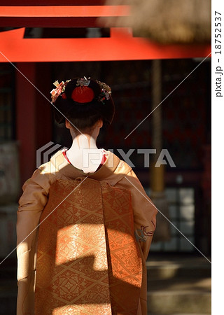 うしろ髪 うしろ髪 18752537