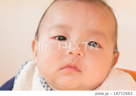 5 months old 18752662