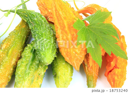 Bitter melon 18753240