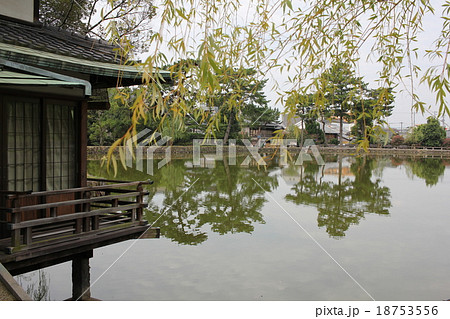 猿沢池 猿沢池 18753556