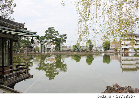 猿沢池 猿沢池 18753557