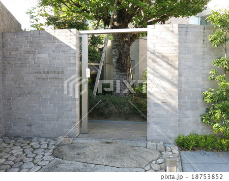 文京区立森鴎外記念館(観潮楼の門柱礎石・敷石・大銀杏) 文京区立森鴎外記念館(観潮楼の門柱礎石・敷石・大銀杏) 18753852