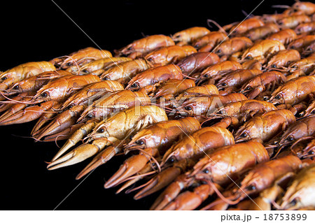 Many crawfishes 18753899